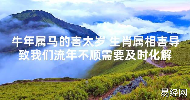 【太岁知识】牛年属马的害太岁 生肖属相害导致我们流年不顺需要及时化解,最新太岁